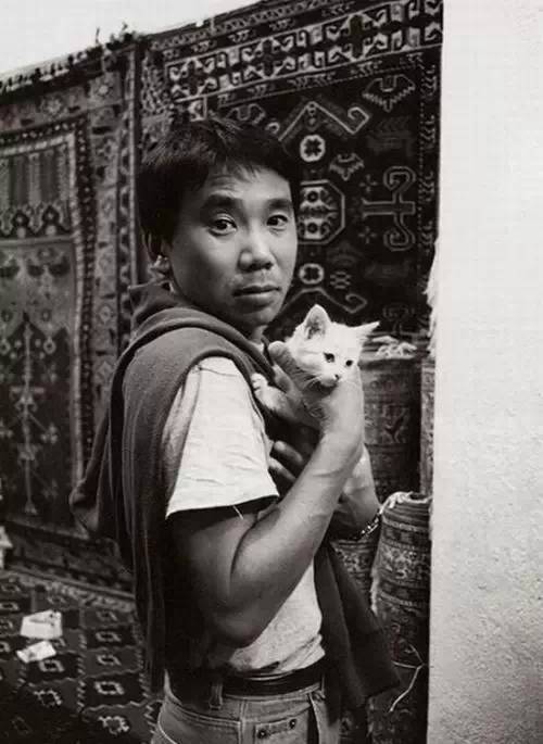 养猫的人为何如此优秀？5位爱猫的作家告诉你答案_百科TA说