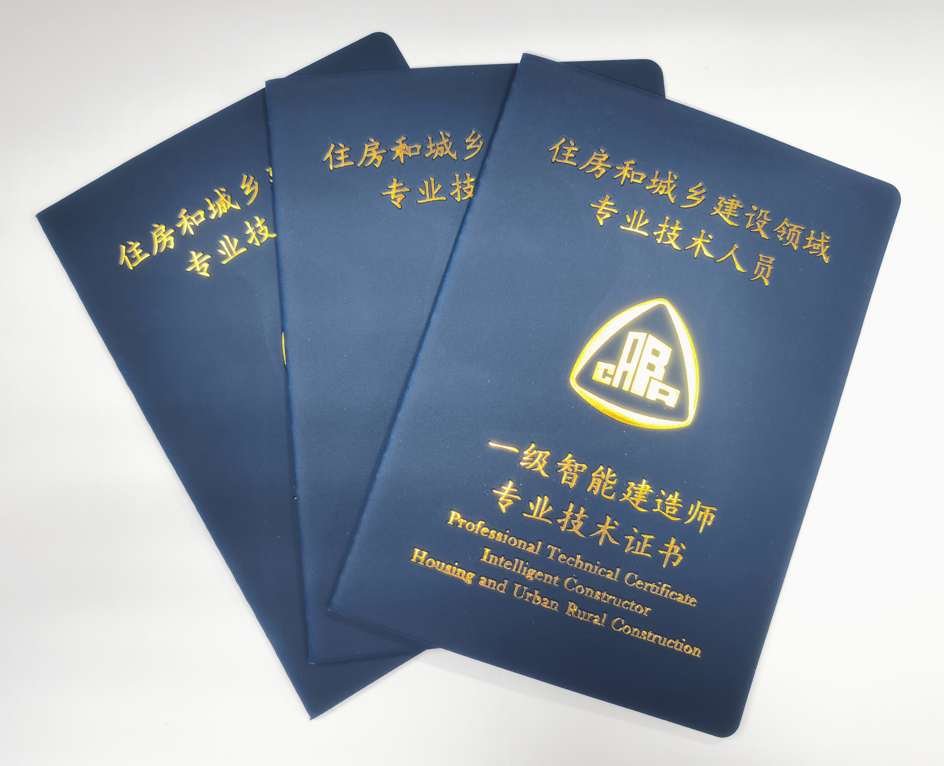  p>一级智能建造师指以 a target="_blank" href="/item/土木工程专业