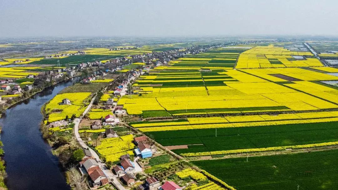  p data-id="gnztvkb9tl">斑竹垱镇,隶属于湖北省荆州市公安县,位于