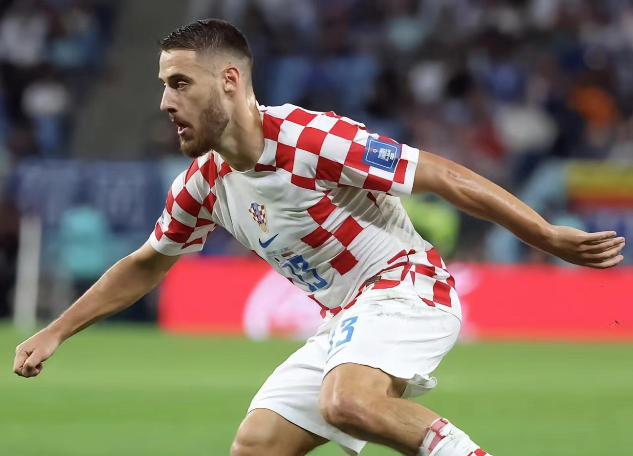 尼古拉·弗拉希奇