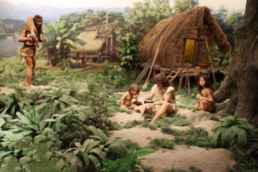 西安半坡博物馆展厅