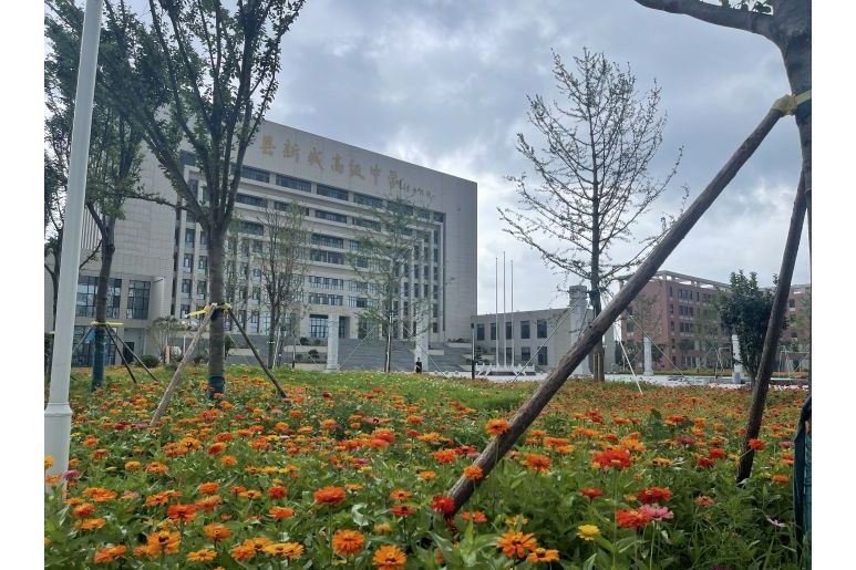 莘县一中教育集团新城高级中学