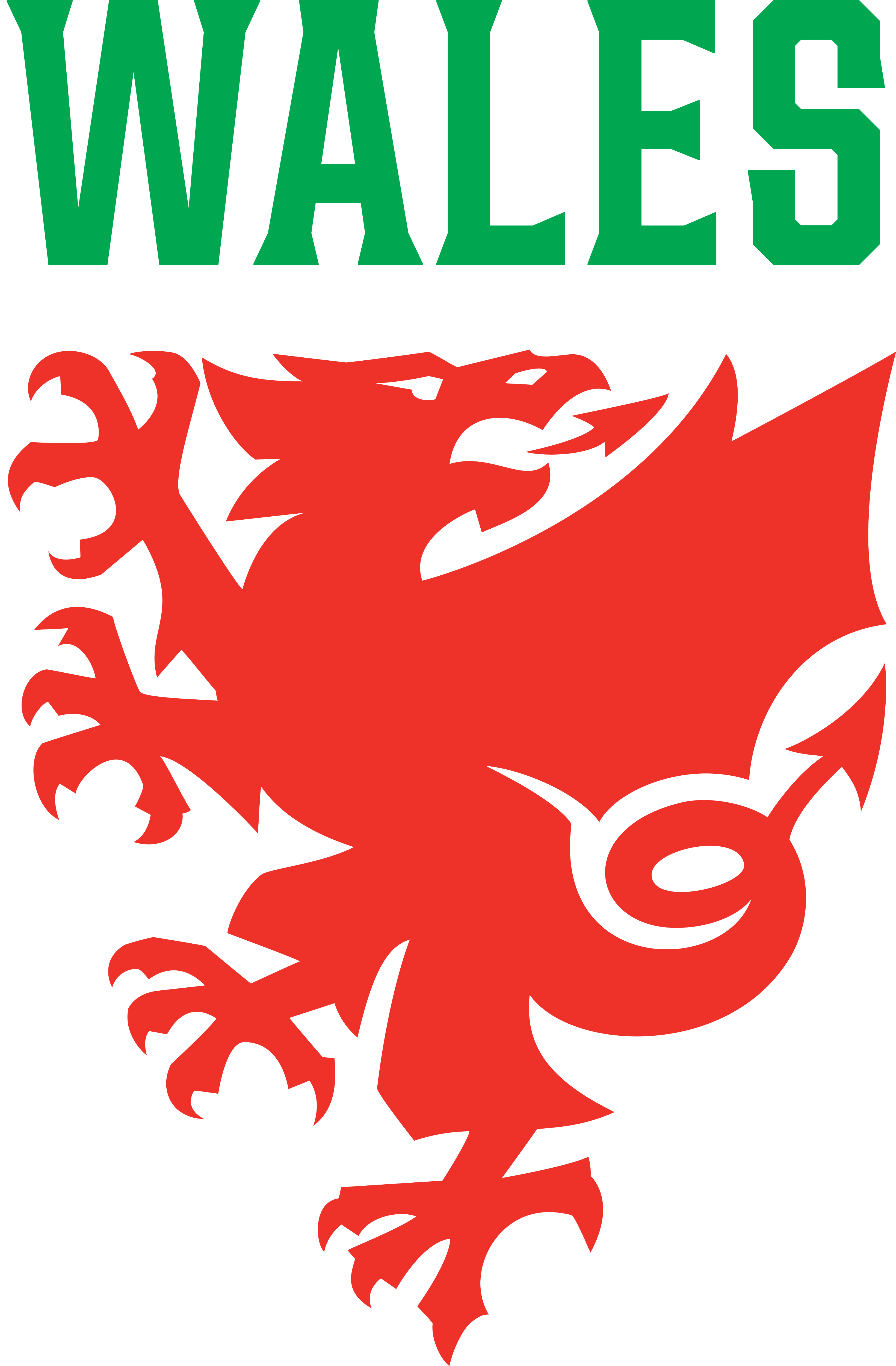 wales national football team