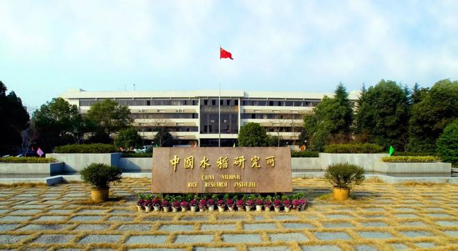中国水稻研究所