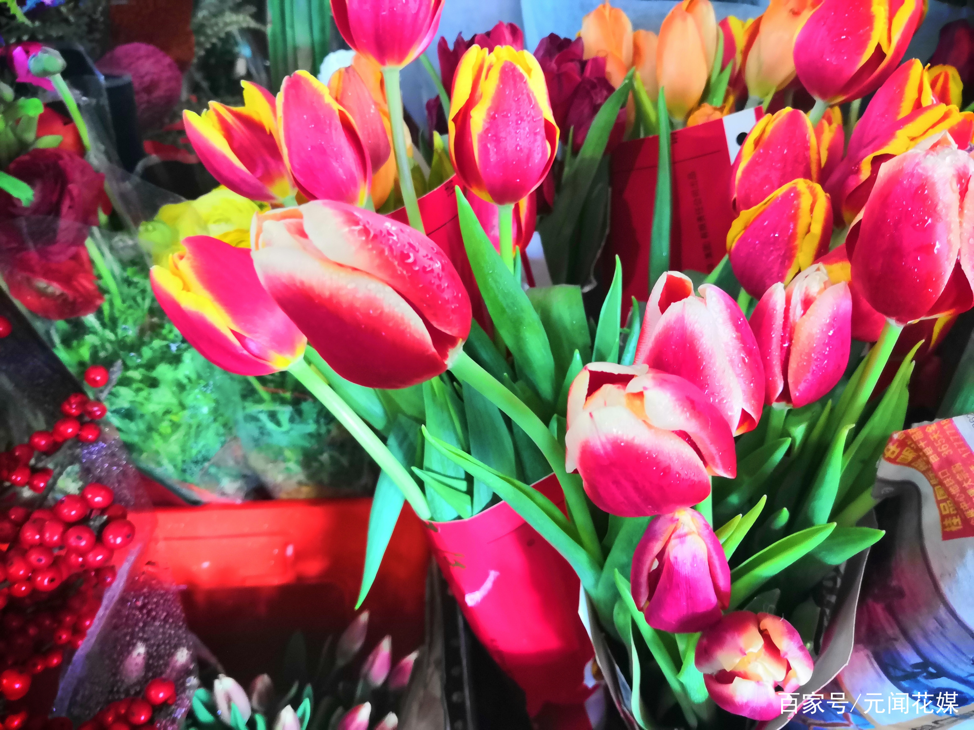 郁金香引发的泡沫经济_百科TA说