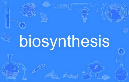 biosynthesis_百度百科