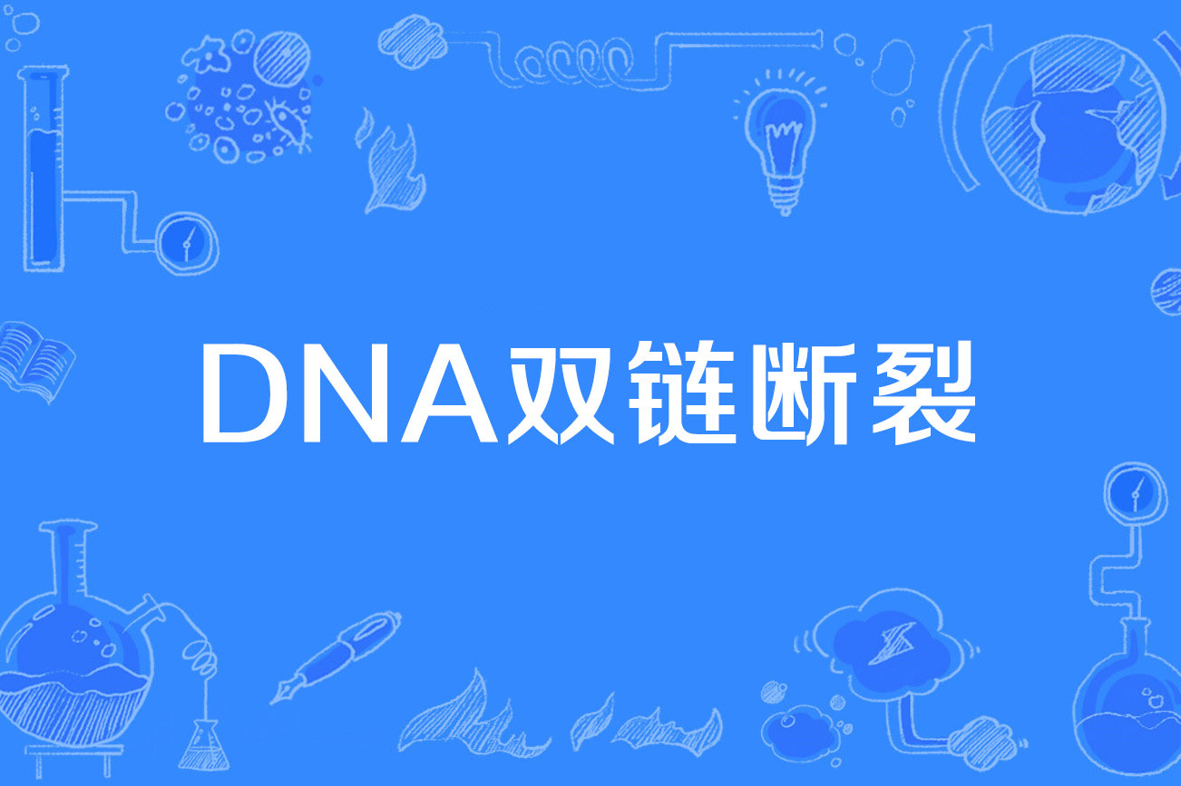 dna双链断裂