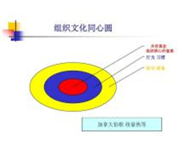 企业文化同心圆模型