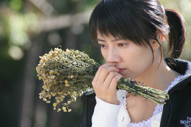 男才女貌组合