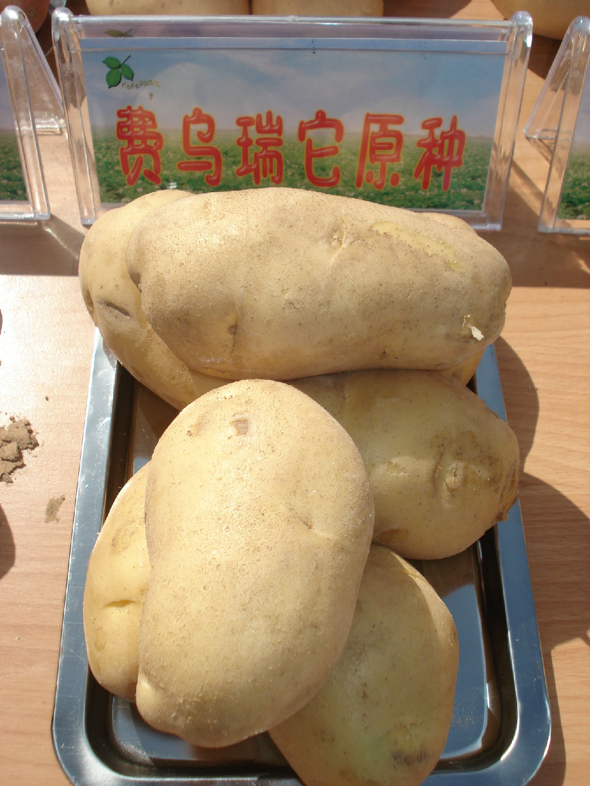 费乌瑞它