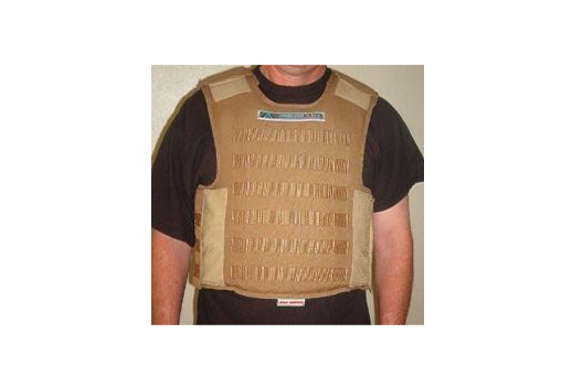  p>龙鳞甲,是美国尖峰装甲公司推出的一种防弹衣,由小块的陶瓷防弹瓦