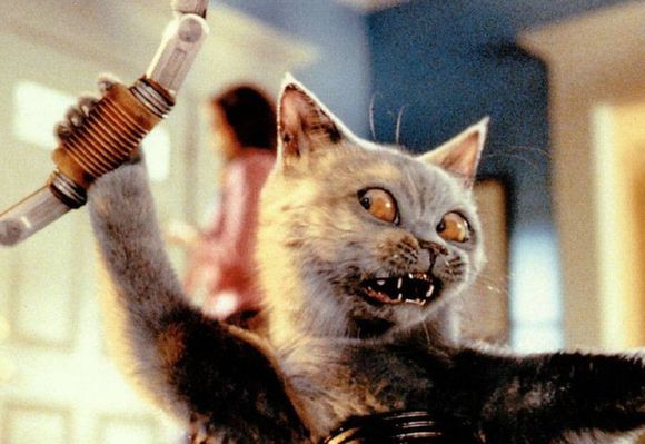 猫狗大战catsanddogs(2001)