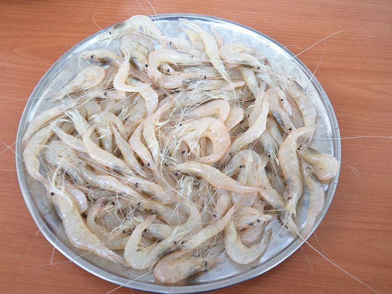  p data-id="gnwntqzrfd">晃虾学名 a target=