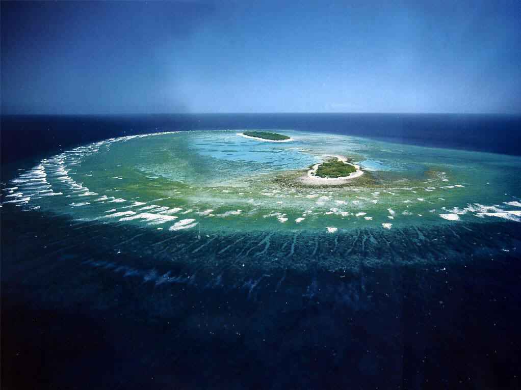  p>大堡礁(英文:the great barrier reef,法文:grande barrière de