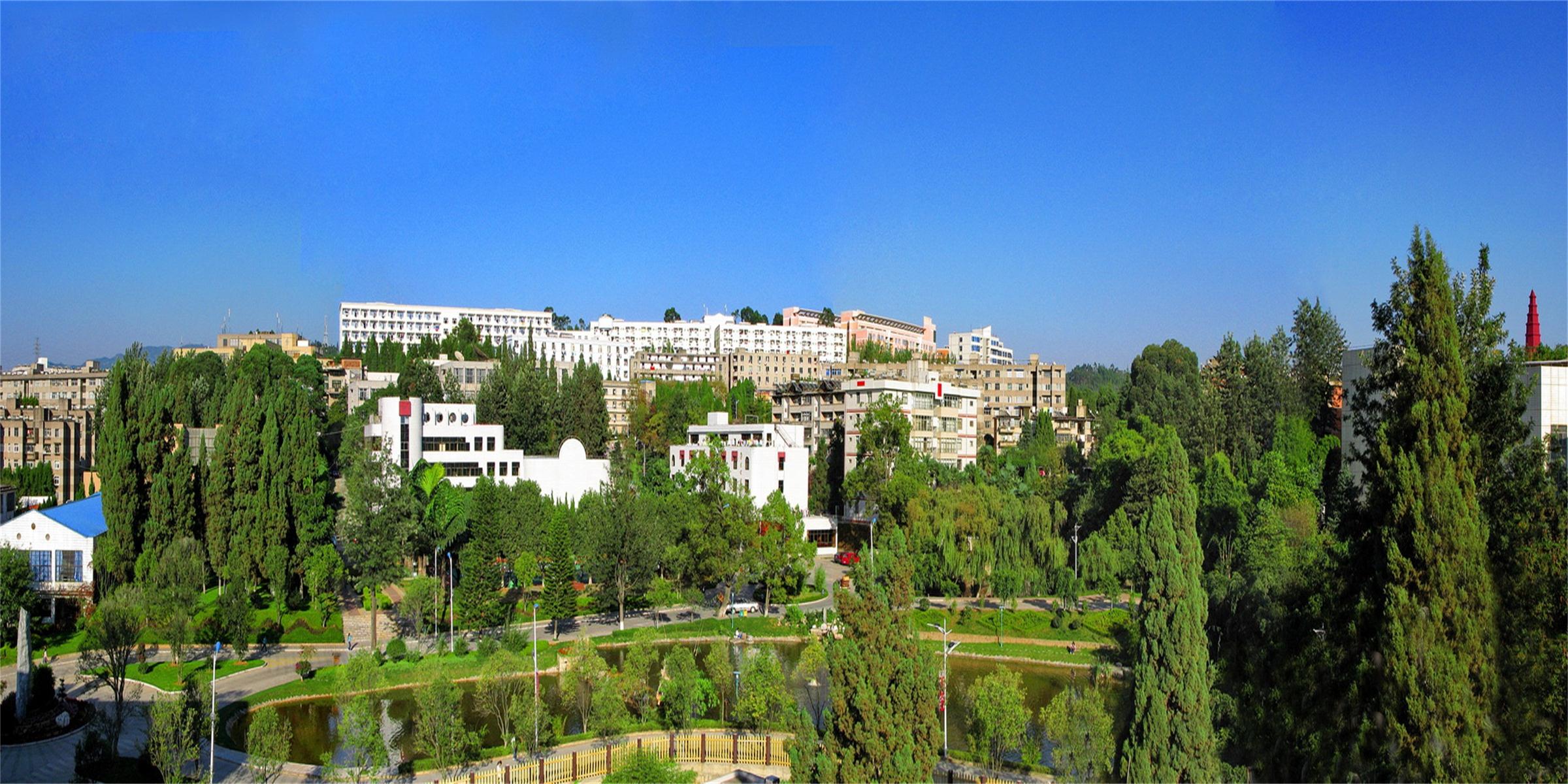 玉溪师范学院