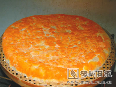 红菌豆腐渣