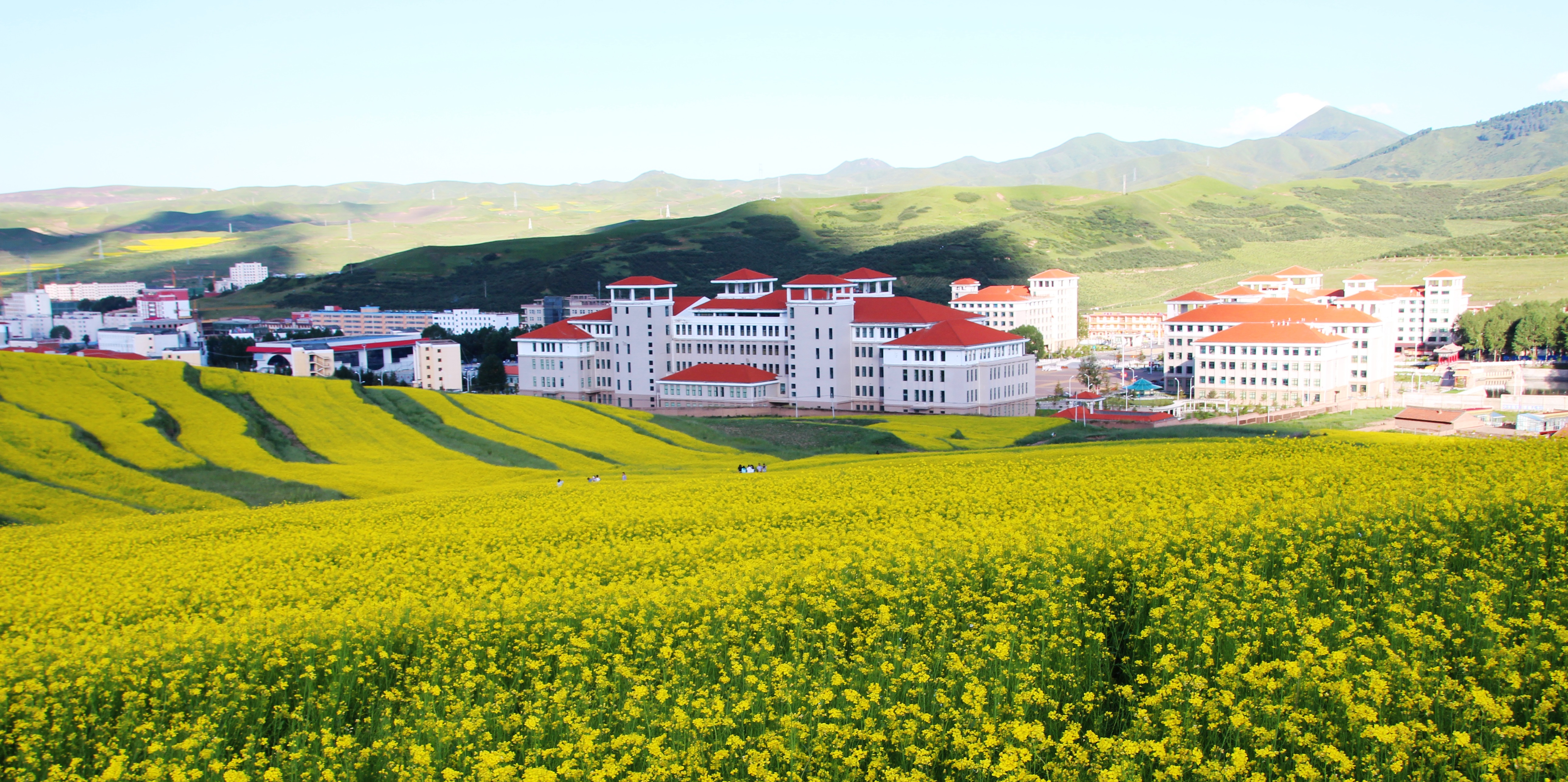 甘肃民族师范学院