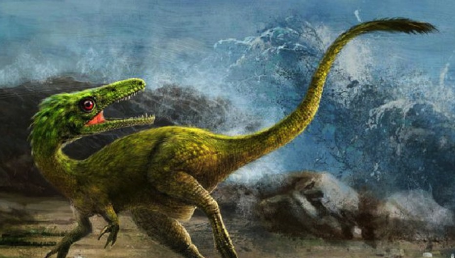  p>伤齿龙生存于晚 a href="#" data-lemmaid="383549">白垩纪 /a>,约