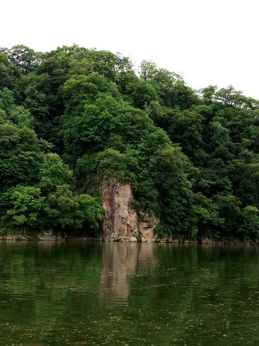 福建龙岩国家森林公园