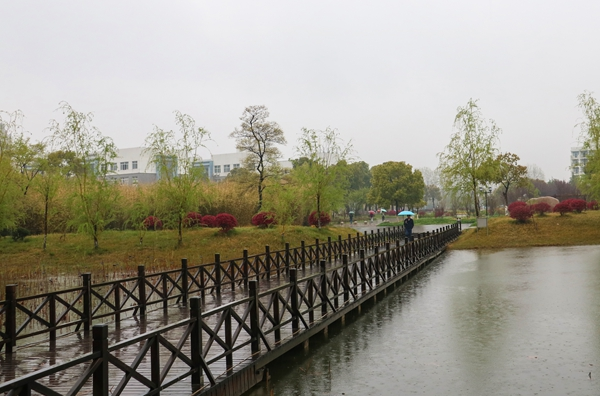 南京师范泰州学院