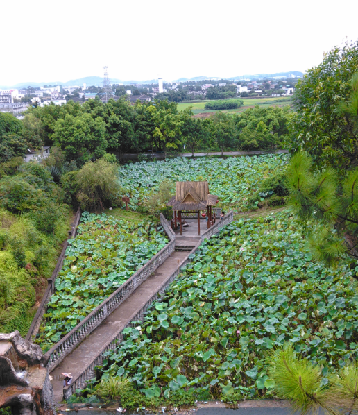 花果山生态园