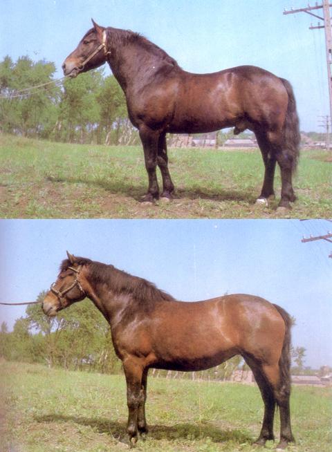 lemmaid="7261272">铁岭县 /a>地势东南高,西北低,东北为丘陵山区