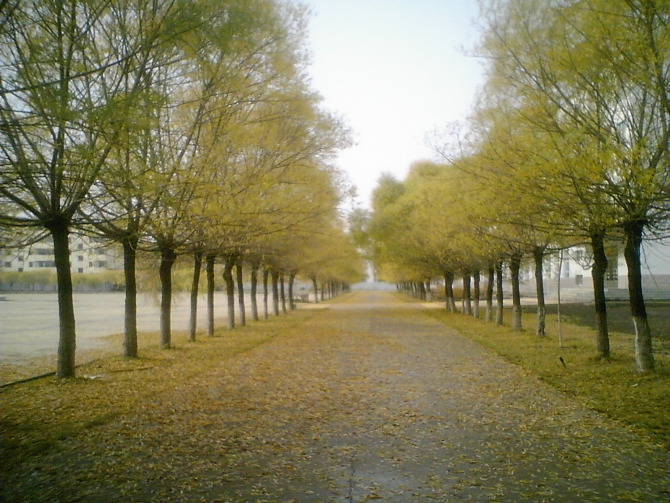 同江市第一中学