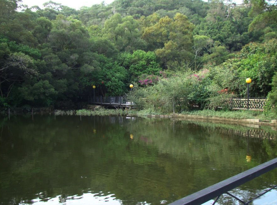 厦门萤火虫公园