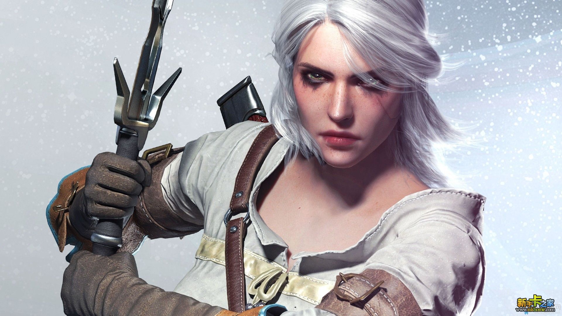 >希里(ciri),小说《 a target="_blank" href="/item/猎魔人/7252589"