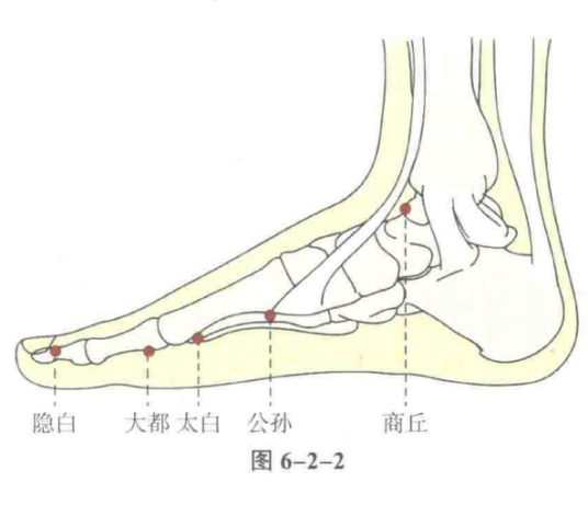 隐白_百度百科