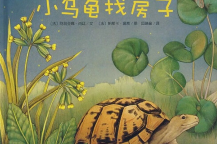 小乌龟找房子