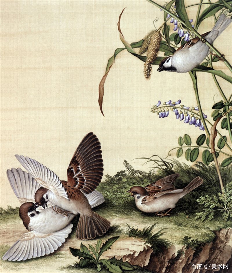 意大利画家郎世宁的花鸟图册，看着真养眼_百科TA说