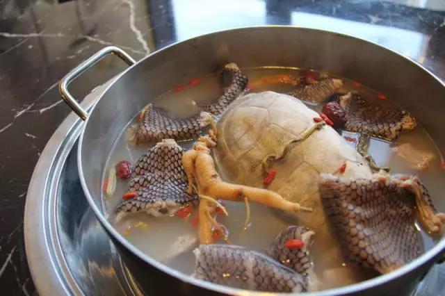  p>龟蛇汤是一道以龟肉,眼镜蛇等为主要食材制作的宁乡创新菜. /p>