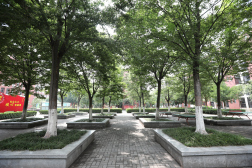 安徽新华技工学校