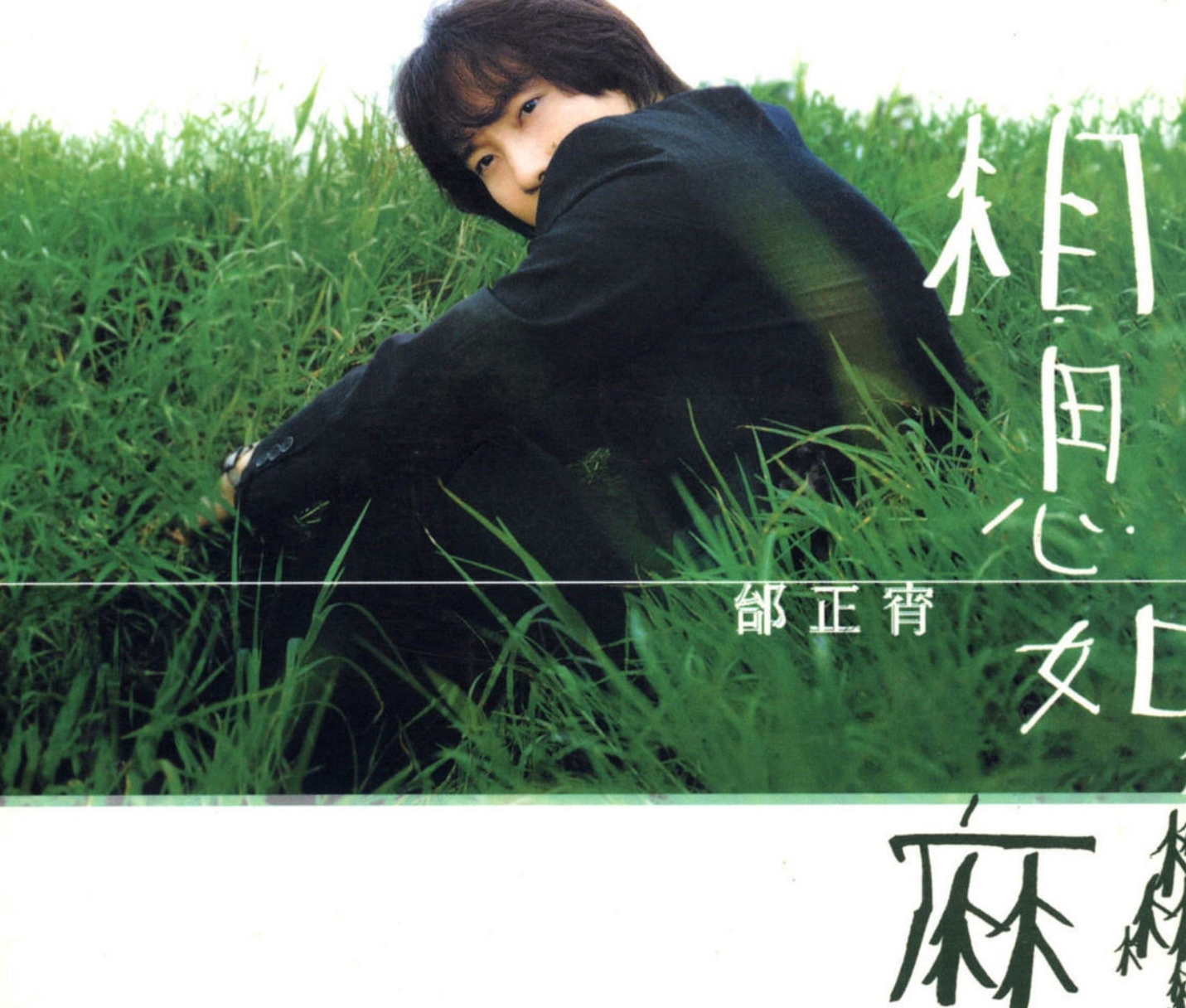 由邰正宵填词,吴庆隆编曲,收录于1998年5月发行的专辑《相思如麻》中