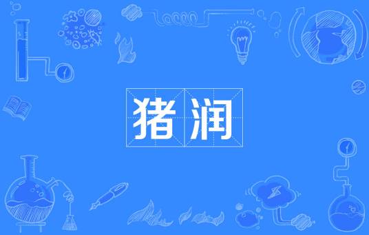 猪润_百度百科