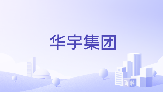 华宇集团（福建省晋江市华宇集团）_百度百科