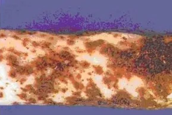 href="/item/山药/414450" data-lemmaid="414450">山药 /a>的病害