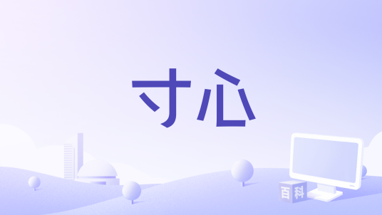 寸心（林清弄演唱的歌曲）_百度百科