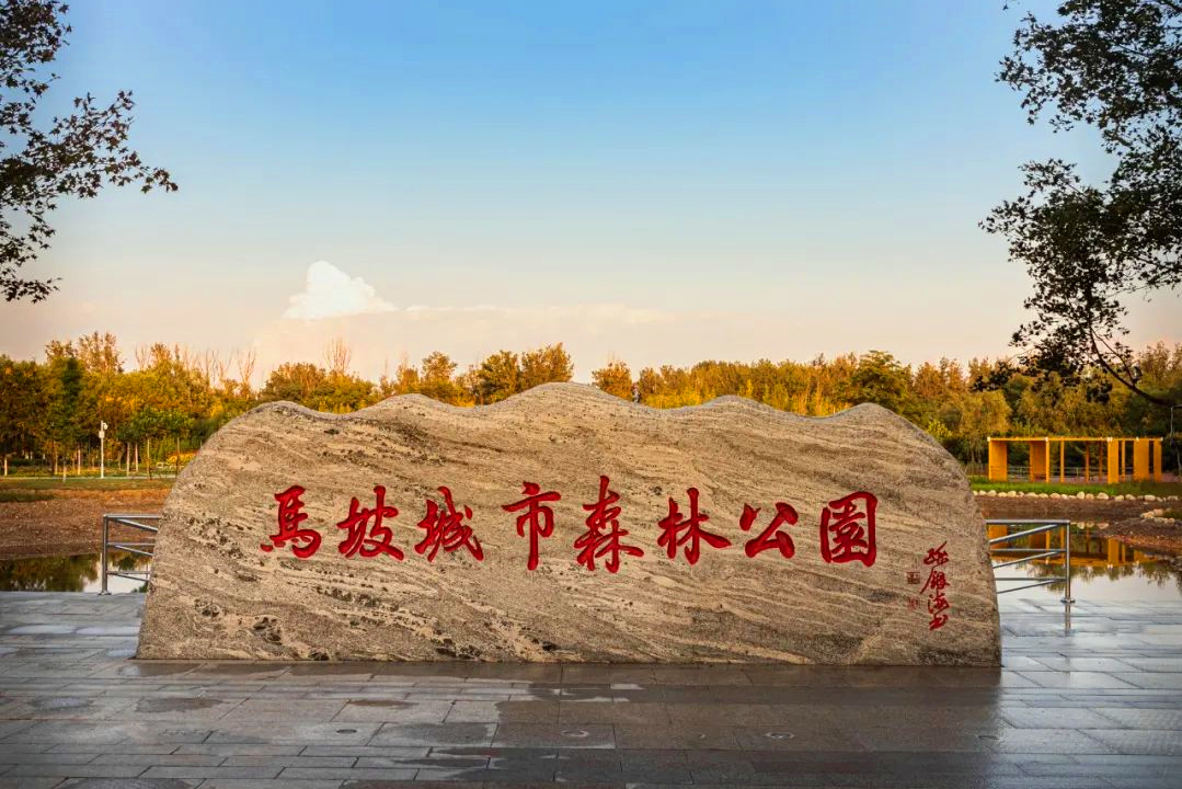 马坡城市森林公园