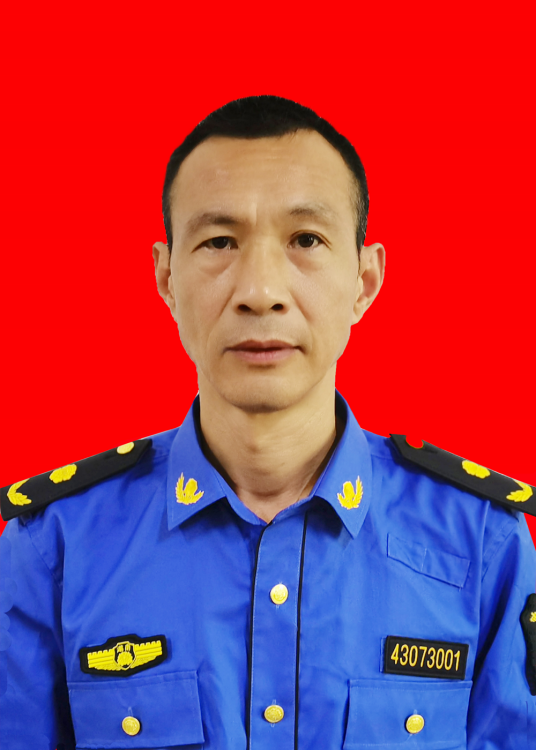 丁志刚（湖南省常德市汉寿县城管执法局党委书记、局长）_百度百科
