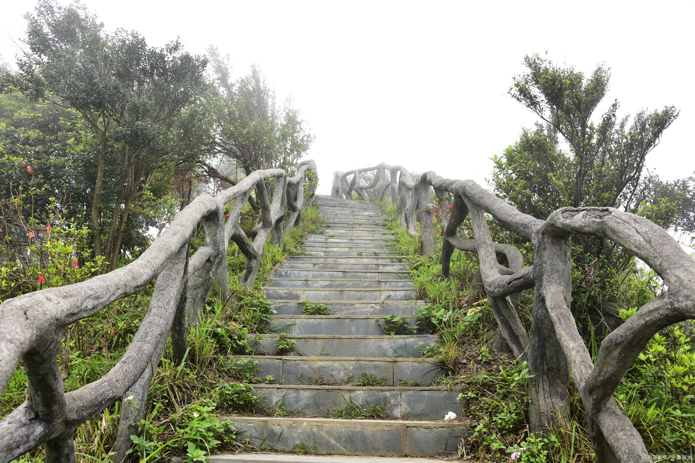 都说“平常心即道”，可是你不一定能做到！_百科TA说