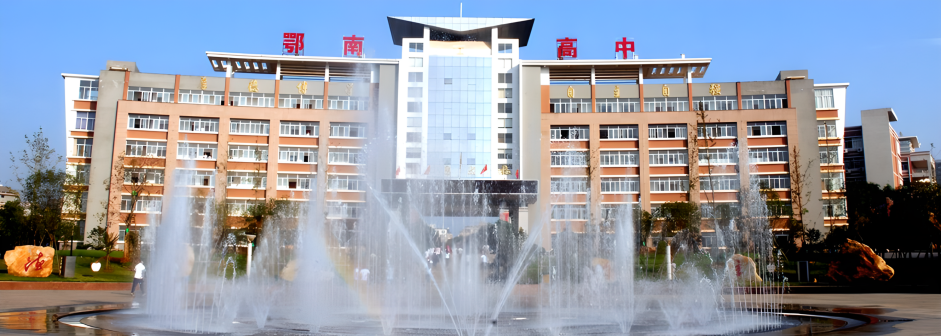 湖北省鄂南高级中学图片