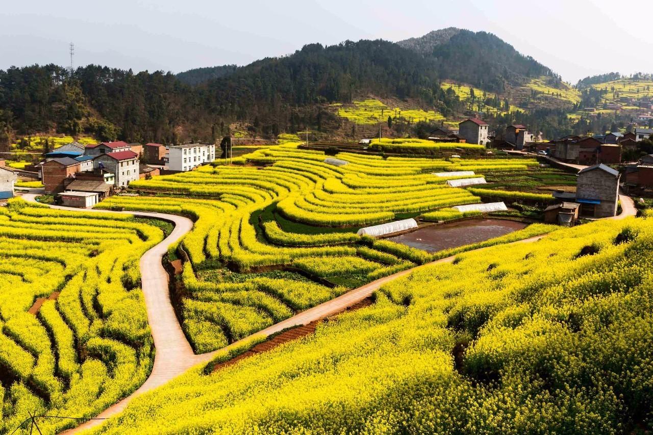  p>中都镇,隶属于四川省宜宾市屏山县,地处 a target="_blank" href="