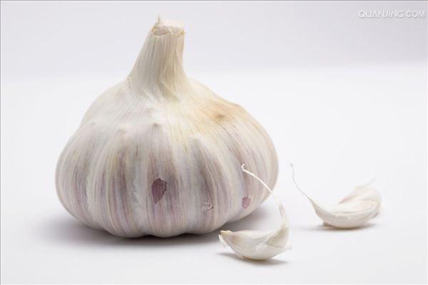  p>大蒜(英文名称garlic;拉丁名称 i>allium  sativum  l.