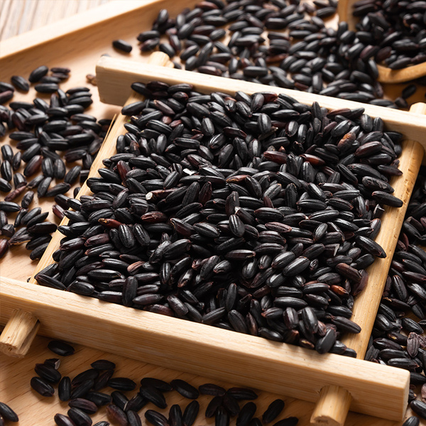 >黑米是一种药,食兼用的 a target="_blank" href="/item/大米/22607"