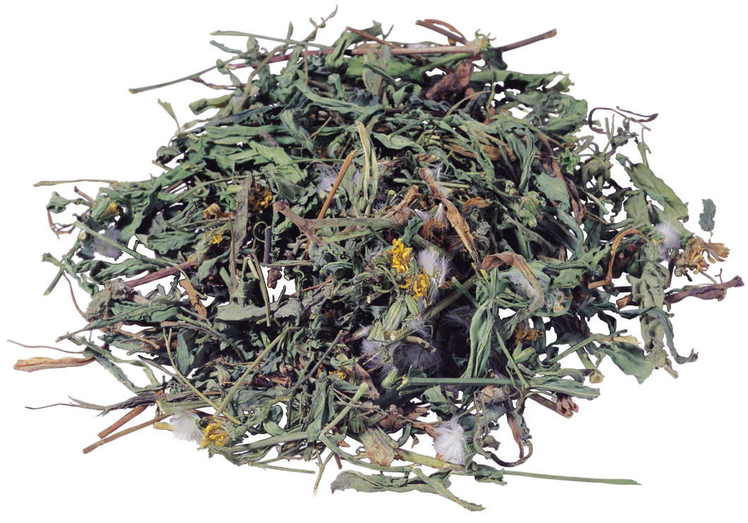  p>亚洲蒲公英(学名: i>taraxacum asiaticum  /i>dahlst.