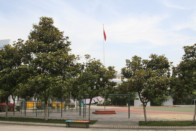 成都市龙潭小学校