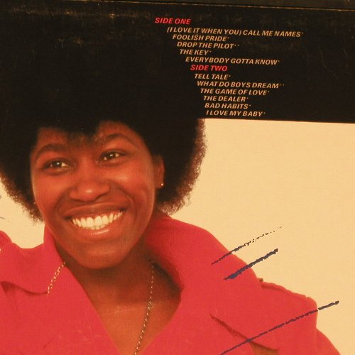 flight of the wild geese