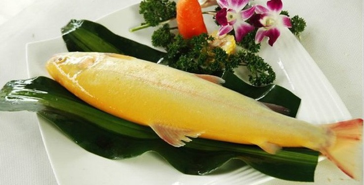  p data-id="gnwn2aapse">黄金斑常见淡水鱼.